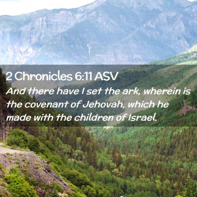 Picture 02 - 2 Chronicles 6:11 ASV - And there have I set the ark, wherein is the - Bible Verse Picture