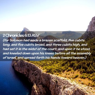 Picture 02 - 2 Chronicles 6:13 ASV - (for Solomon had made a brazen scaffold, five - Bible Verse Picture