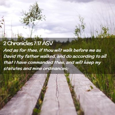 Picture 02 - 2 Chronicles 7:17 ASV - And as for thee, if thou wilt walk before me as - Bible Verse Picture