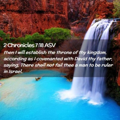 Picture 02 - 2 Chronicles 7:18 ASV - then I will establish the throne of thy kingdom, - Bible Verse Picture