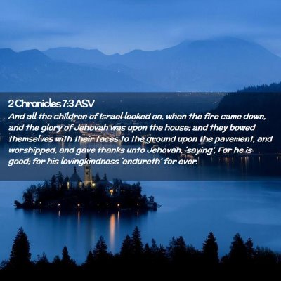 Picture 02 - 2 Chronicles 7:3 ASV - And all the children of Israel looked on, when - Bible Verse Picture