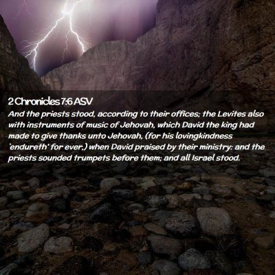 Picture 02 - 2 Chronicles 7:6 ASV - And the priests stood, according to their - Bible Verse Picture