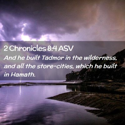 Picture 02 - 2 Chronicles 8:4 ASV - And he built Tadmor in the wilderness, and all - Bible Verse Picture