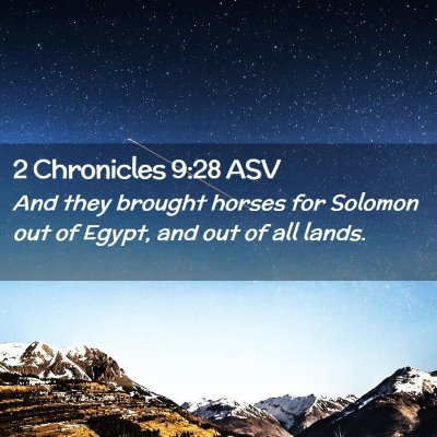 Picture 02 - 2 Chronicles 9:28 ASV - And they brought horses for Solomon out of Egypt, - Bible Verse Picture