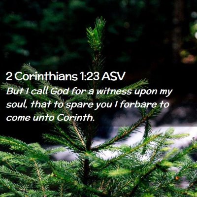 Picture 02 - 2 Corinthians 1:23 ASV - But I call God for a witness upon my soul, that - Bible Verse Picture