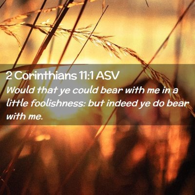Picture 02 - 2 Corinthians 11:1 ASV - Would that ye could bear with me in a little - Bible Verse Picture