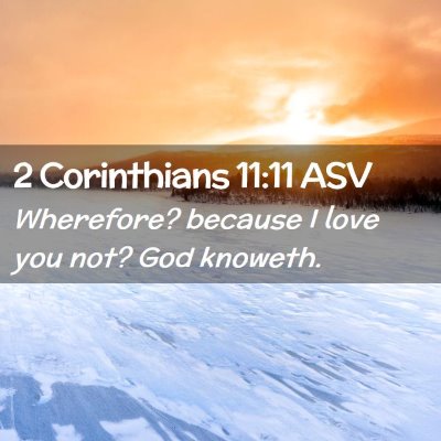 Picture 02 - 2 Corinthians 11:11 ASV - Wherefore? because I love you not? God - Bible Verse Picture