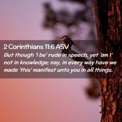 Picture 02 - 2 Corinthians 11:6 ASV - But though `I be' rude in speech, yet `am I' not - Bible Verse Picture