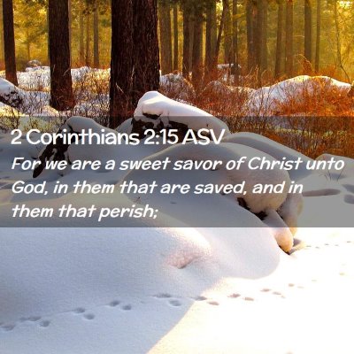 Picture 02 - 2 Corinthians 2:15 ASV - For we are a sweet savor of Christ unto God, in - Bible Verse Picture