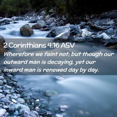 Picture 02 - 2 Corinthians 4:16 ASV - Wherefore we faint not; but though our outward - Bible Verse Picture