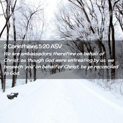 Picture 02 - 2 Corinthians 5:20 ASV - We are ambassadors therefore on behalf of Christ, - Bible Verse Picture