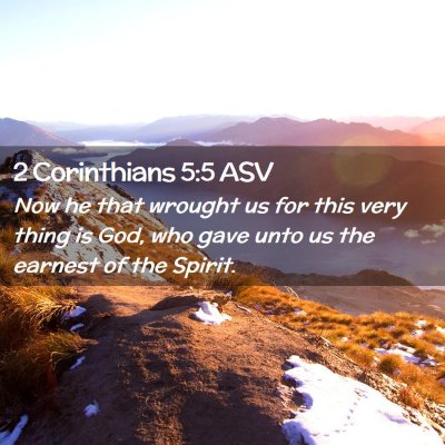 Picture 02 - 2 Corinthians 5:5 ASV - Now he that wrought us for this very thing is - Bible Verse Picture