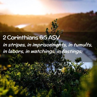 Picture 02 - 2 Corinthians 6:5 ASV - in stripes, in imprisonments, in tumults, in - Bible Verse Picture