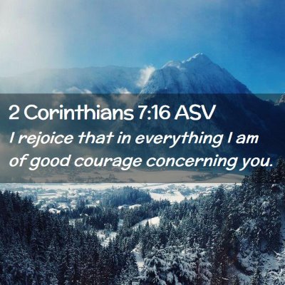 Picture 02 - 2 Corinthians 7:16 ASV - I rejoice that in everything I am of good courage - Bible Verse Picture