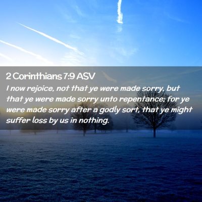 Picture 02 - 2 Corinthians 7:9 ASV - I now rejoice, not that ye were made sorry, but - Bible Verse Picture