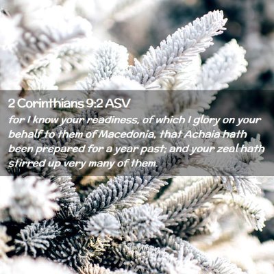 Picture 02 - 2 Corinthians 9:2 ASV - for I know your readiness, of which I glory on - Bible Verse Picture