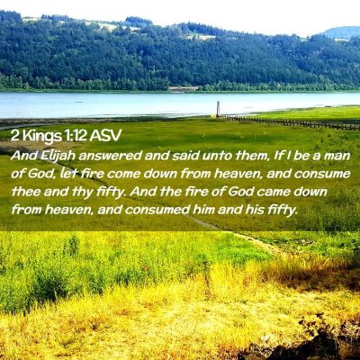 Picture 02 - 2 Kings 1:12 ASV - And Elijah answered and said unto them, If I be a - Bible Verse Picture