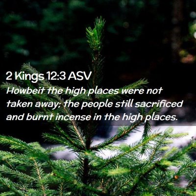 Picture 02 - 2 Kings 12:3 ASV - Howbeit the high places were not taken away; the - Bible Verse Picture