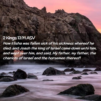 Picture 02 - 2 Kings 13:14 ASV - Now Elisha was fallen sick of his sickness - Bible Verse Picture