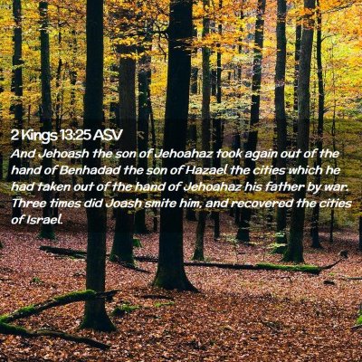 Picture 02 - 2 Kings 13:25 ASV - And Jehoash the son of Jehoahaz took again out of - Bible Verse Picture