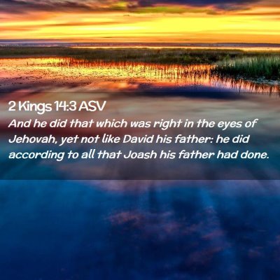 Picture 02 - 2 Kings 14:3 ASV - And he did that which was right in the eyes of - Bible Verse Picture