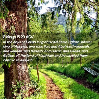 Picture 02 - 2 Kings 15:29 ASV - In the days of Pekah king of Israel came - Bible Verse Picture