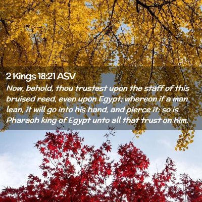 Picture 02 - 2 Kings 18:21 ASV - Now, behold, thou trustest upon the staff of this - Bible Verse Picture