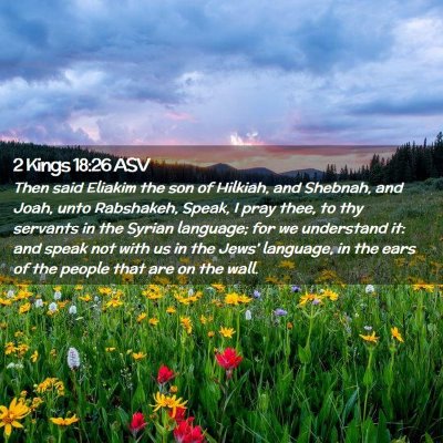 Picture 02 - 2 Kings 18:26 ASV - Then said Eliakim the son of Hilkiah, and - Bible Verse Picture