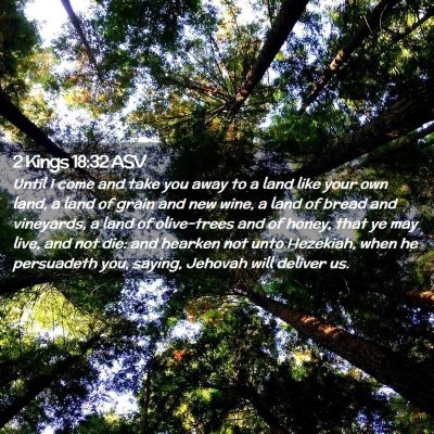 Picture 02 - 2 Kings 18:32 ASV - Until I come and take you away to a land like - Bible Verse Picture
