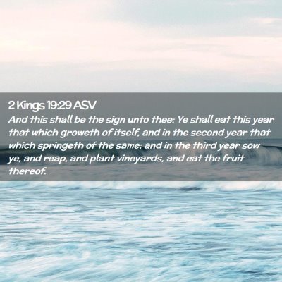 Picture 02 - 2 Kings 19:29 ASV - And this shall be the sign unto thee: Ye shall - Bible Verse Picture
