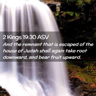 Picture 02 - 2 Kings 19:30 ASV - And the remnant that is escaped of the house of - Bible Verse Picture
