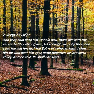 Picture 02 - 2 Kings 2:16 ASV - And they said unto him, Behold now, there are - Bible Verse Picture