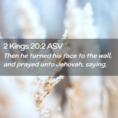 Picture 02 - 2 Kings 20:2 ASV - Then he turned his face to the wall, and prayed - Bible Verse Picture