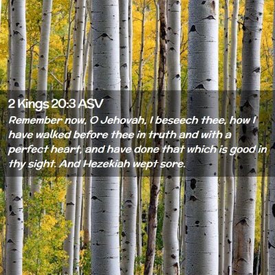 Picture 02 - 2 Kings 20:3 ASV - Remember now, O Jehovah, I beseech thee, how I - Bible Verse Picture