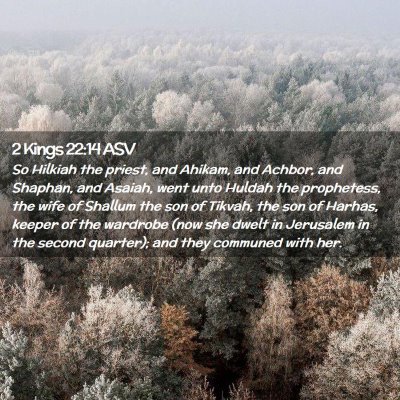 Picture 02 - 2 Kings 22:14 ASV - So Hilkiah the priest, and Ahikam, and Achbor, - Bible Verse Picture