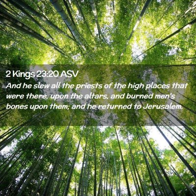 Picture 02 - 2 Kings 23:20 ASV - And he slew all the priests of the high places - Bible Verse Picture