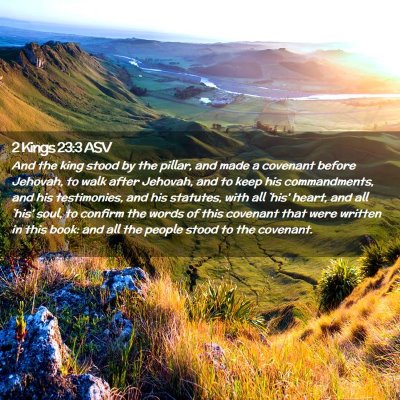 Picture 02 - 2 Kings 23:3 ASV - And the king stood by the pillar, and made a - Bible Verse Picture