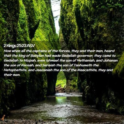 Picture 02 - 2 Kings 25:23 ASV - Now when all the captains of the forces, they and - Bible Verse Picture