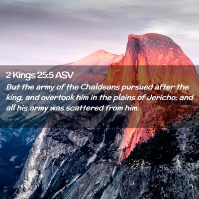 Picture 02 - 2 Kings 25:5 ASV - But the army of the Chaldeans pursued after the - Bible Verse Picture
