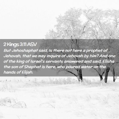 Picture 02 - 2 Kings 3:11 ASV - But Jehoshaphat said, Is there not here a prophet - Bible Verse Picture