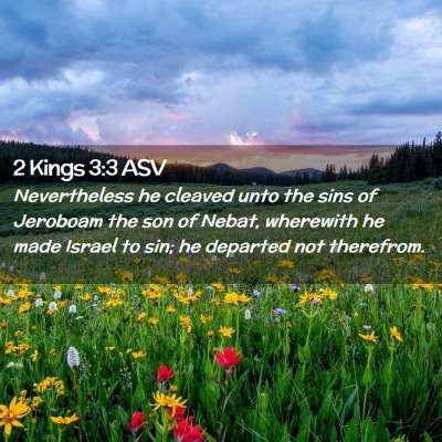 Picture 02 - 2 Kings 3:3 ASV - Nevertheless he cleaved unto the sins of Jeroboam - Bible Verse Picture