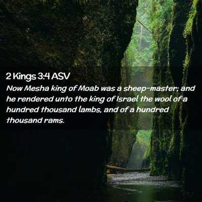Picture 02 - 2 Kings 3:4 ASV - Now Mesha king of Moab was a sheep-master; and he - Bible Verse Picture