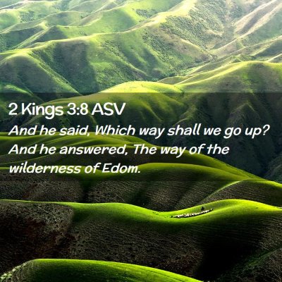 Picture 02 - 2 Kings 3:8 ASV - And he said, Which way shall we go up? And he - Bible Verse Picture