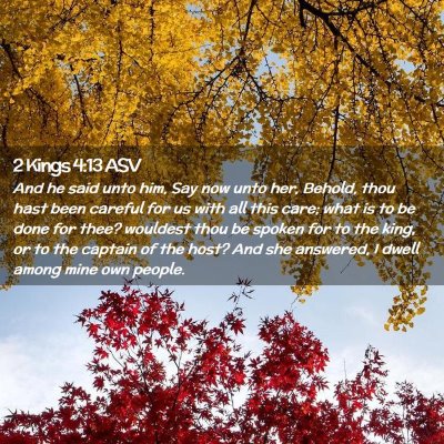 Picture 02 - 2 Kings 4:13 ASV - And he said unto him, Say now unto her, Behold, - Bible Verse Picture