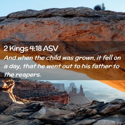 Picture 02 - 2 Kings 4:18 ASV - And when the child was grown, it fell on a day, - Bible Verse Picture
