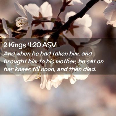 Picture 02 - 2 Kings 4:20 ASV - And when he had taken him, and brought him to his - Bible Verse Picture