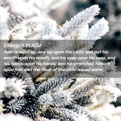 Picture 02 - 2 Kings 4:34 ASV - And he went up, and lay upon the child, and put - Bible Verse Picture