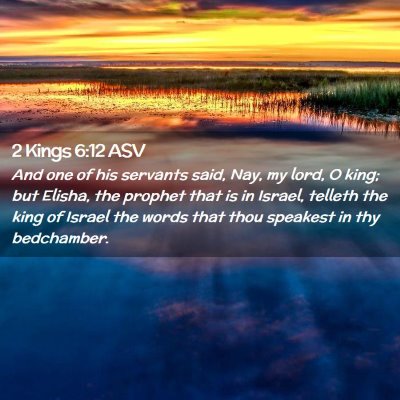 Picture 02 - 2 Kings 6:12 ASV - And one of his servants said, Nay, my lord, O - Bible Verse Picture