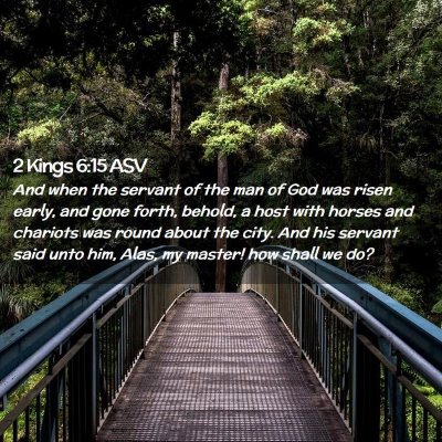 Picture 02 - 2 Kings 6:15 ASV - And when the servant of the man of God was risen - Bible Verse Picture