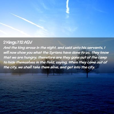 Picture 02 - 2 Kings 7:12 ASV - And the king arose in the night, and said unto - Bible Verse Picture
